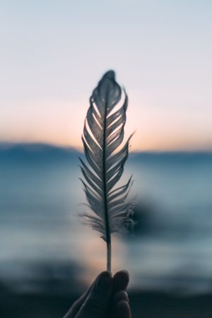 Méditation pleine conscience leadership