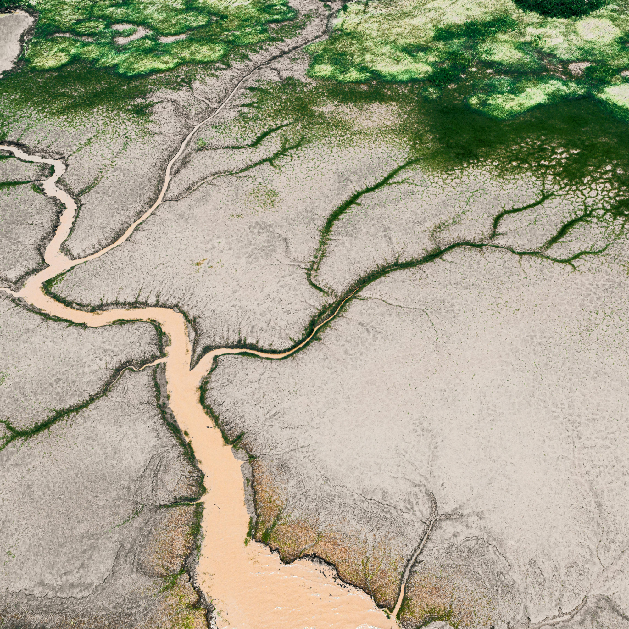 Motif aérien organique de delta fluvial évoquant le passage du mécanique au vivant.